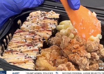 Metropolis Heights avenue meals pageant raises funds for group improvement