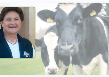 Fabulous Farm Babe: Dairy Month Enjoyable and Farmers’ Psychological Well being