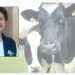 Fabulous Farm Babe: Dairy Month Enjoyable and Farmers’ Psychological Well being