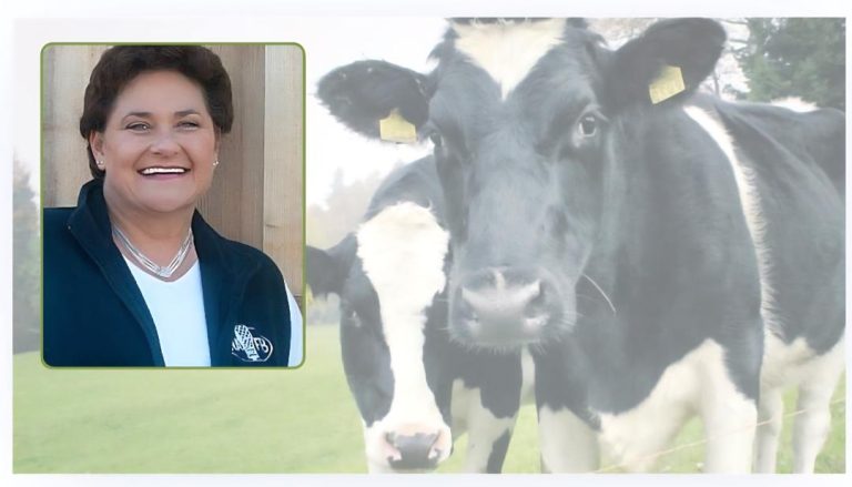 Fabulous Farm Babe: Dairy Month Enjoyable and Farmers’ Psychological Well being