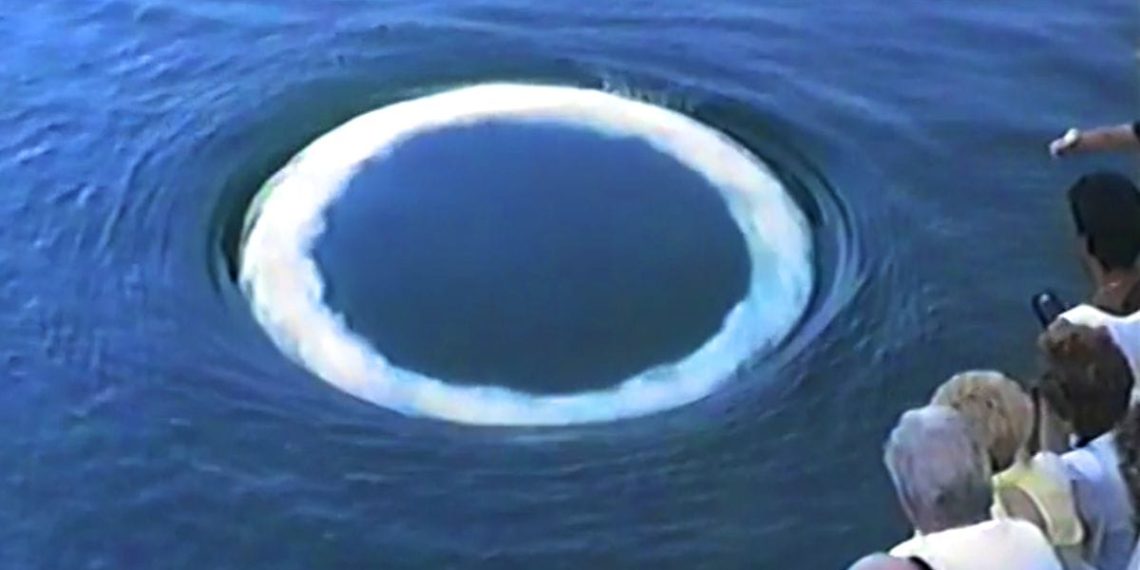 Coconut whales are approaching folks to blow rings. What are he making an attempt to say? – Colossal