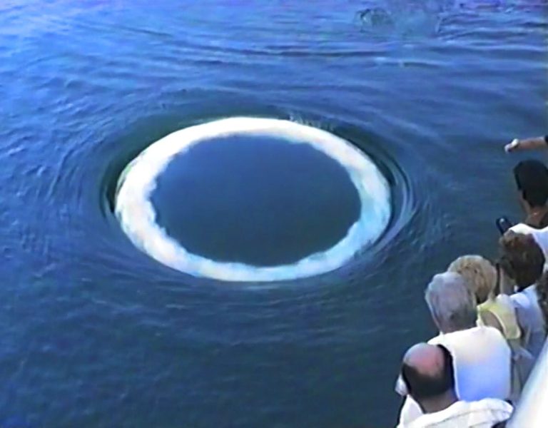 Coconut whales are approaching folks to blow rings. What are he making an attempt to say? – Colossal