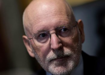 The Dutch authorities collapsed. What occurs subsequent?