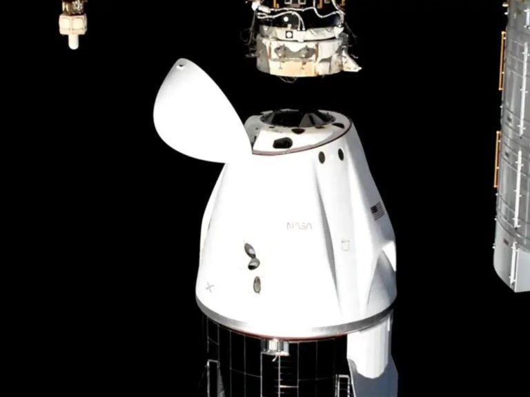 NASA and the Protection Division depend upon spacex in some ways